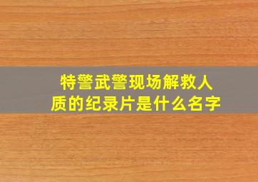 特警武警现场解救人质的纪录片是什么名字