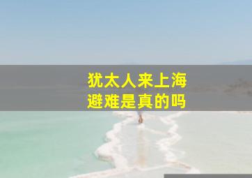 犹太人来上海避难是真的吗