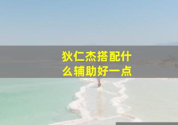 狄仁杰搭配什么辅助好一点