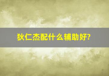 狄仁杰配什么辅助好?