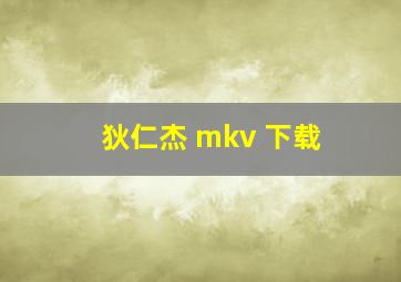 狄仁杰 mkv 下载