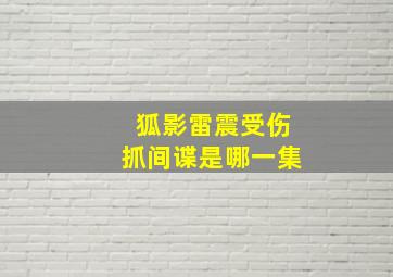 狐影雷震受伤抓间谍是哪一集