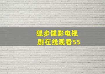 狐步谍影电视剧在线观看55