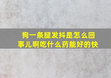 狗一条腿发抖是怎么回事儿啊吃什么药能好的快