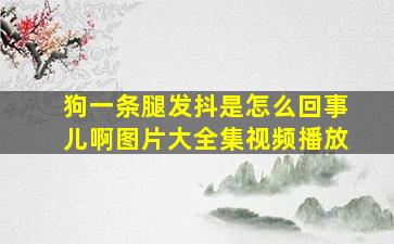 狗一条腿发抖是怎么回事儿啊图片大全集视频播放