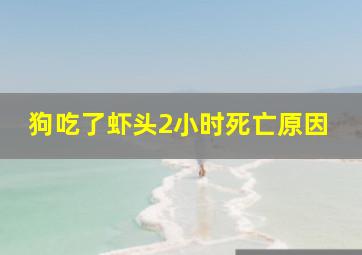 狗吃了虾头2小时死亡原因