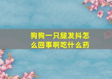 狗狗一只腿发抖怎么回事啊吃什么药