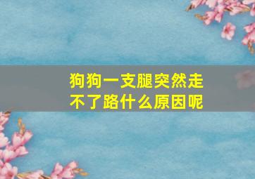 狗狗一支腿突然走不了路什么原因呢