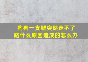 狗狗一支腿突然走不了路什么原因造成的怎么办