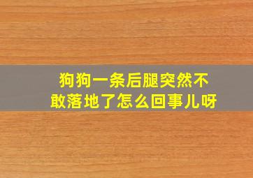 狗狗一条后腿突然不敢落地了怎么回事儿呀