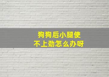 狗狗后小腿使不上劲怎么办呀