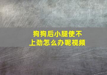 狗狗后小腿使不上劲怎么办呢视频