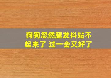 狗狗忽然腿发抖站不起来了 过一会又好了