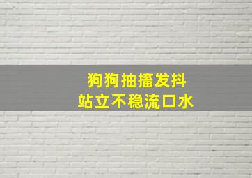 狗狗抽搐发抖站立不稳流口水