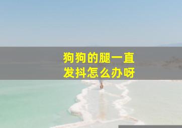 狗狗的腿一直发抖怎么办呀