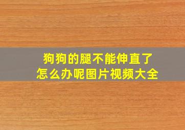 狗狗的腿不能伸直了怎么办呢图片视频大全