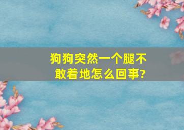 狗狗突然一个腿不敢着地怎么回事?