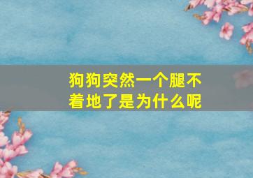 狗狗突然一个腿不着地了是为什么呢