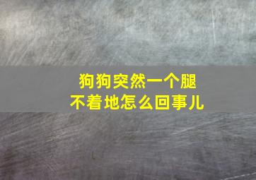 狗狗突然一个腿不着地怎么回事儿