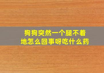 狗狗突然一个腿不着地怎么回事呀吃什么药