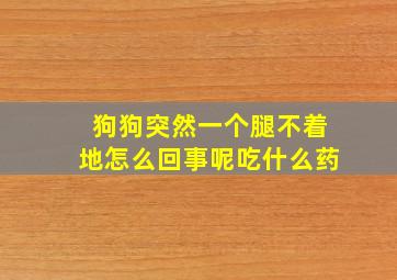 狗狗突然一个腿不着地怎么回事呢吃什么药