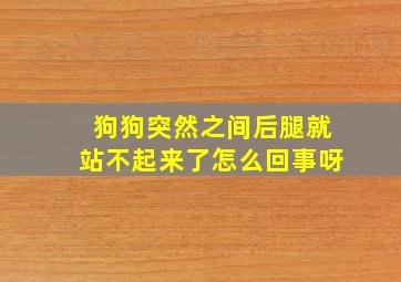 狗狗突然之间后腿就站不起来了怎么回事呀