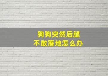 狗狗突然后腿不敢落地怎么办