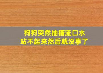 狗狗突然抽搐流口水站不起来然后就没事了