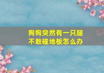 狗狗突然有一只腿不敢碰地板怎么办