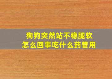 狗狗突然站不稳腿软怎么回事吃什么药管用