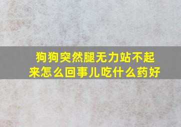 狗狗突然腿无力站不起来怎么回事儿吃什么药好