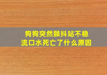 狗狗突然颤抖站不稳流口水死亡了什么原因