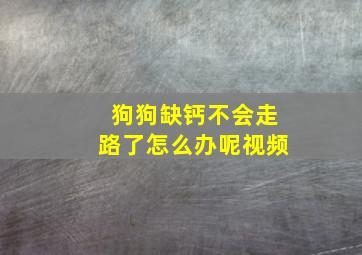 狗狗缺钙不会走路了怎么办呢视频