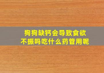 狗狗缺钙会导致食欲不振吗吃什么药管用呢