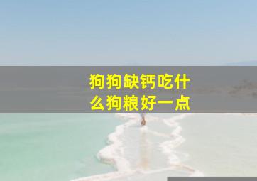 狗狗缺钙吃什么狗粮好一点