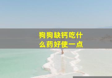 狗狗缺钙吃什么药好使一点