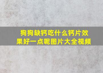 狗狗缺钙吃什么钙片效果好一点呢图片大全视频