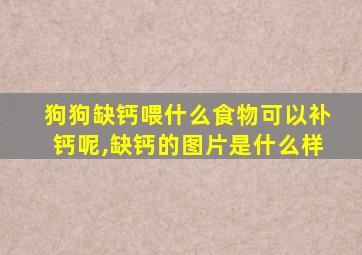 狗狗缺钙喂什么食物可以补钙呢,缺钙的图片是什么样