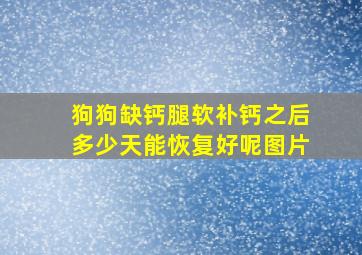 狗狗缺钙腿软补钙之后多少天能恢复好呢图片