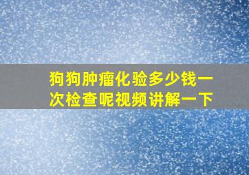 狗狗肿瘤化验多少钱一次检查呢视频讲解一下