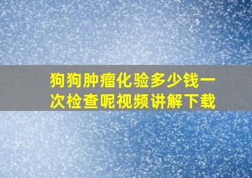 狗狗肿瘤化验多少钱一次检查呢视频讲解下载