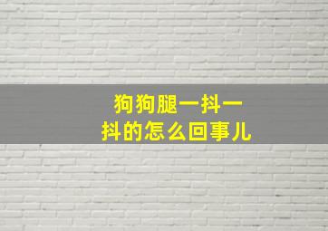 狗狗腿一抖一抖的怎么回事儿