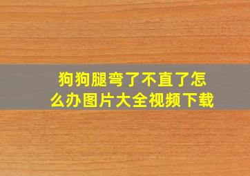 狗狗腿弯了不直了怎么办图片大全视频下载