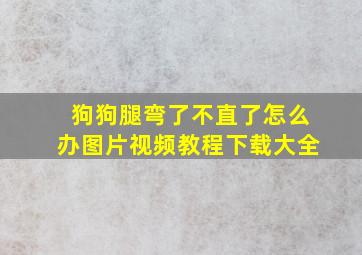 狗狗腿弯了不直了怎么办图片视频教程下载大全