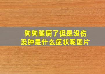 狗狗腿瘸了但是没伤没肿是什么症状呢图片