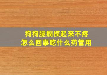 狗狗腿瘸摸起来不疼怎么回事吃什么药管用