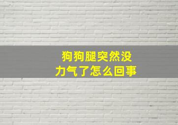 狗狗腿突然没力气了怎么回事