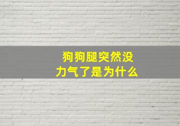 狗狗腿突然没力气了是为什么