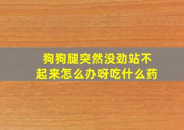 狗狗腿突然没劲站不起来怎么办呀吃什么药