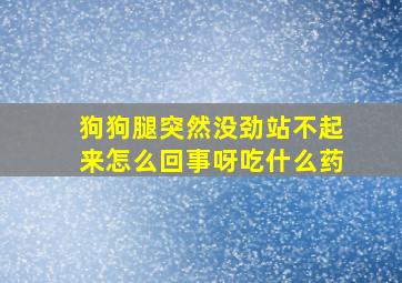 狗狗腿突然没劲站不起来怎么回事呀吃什么药